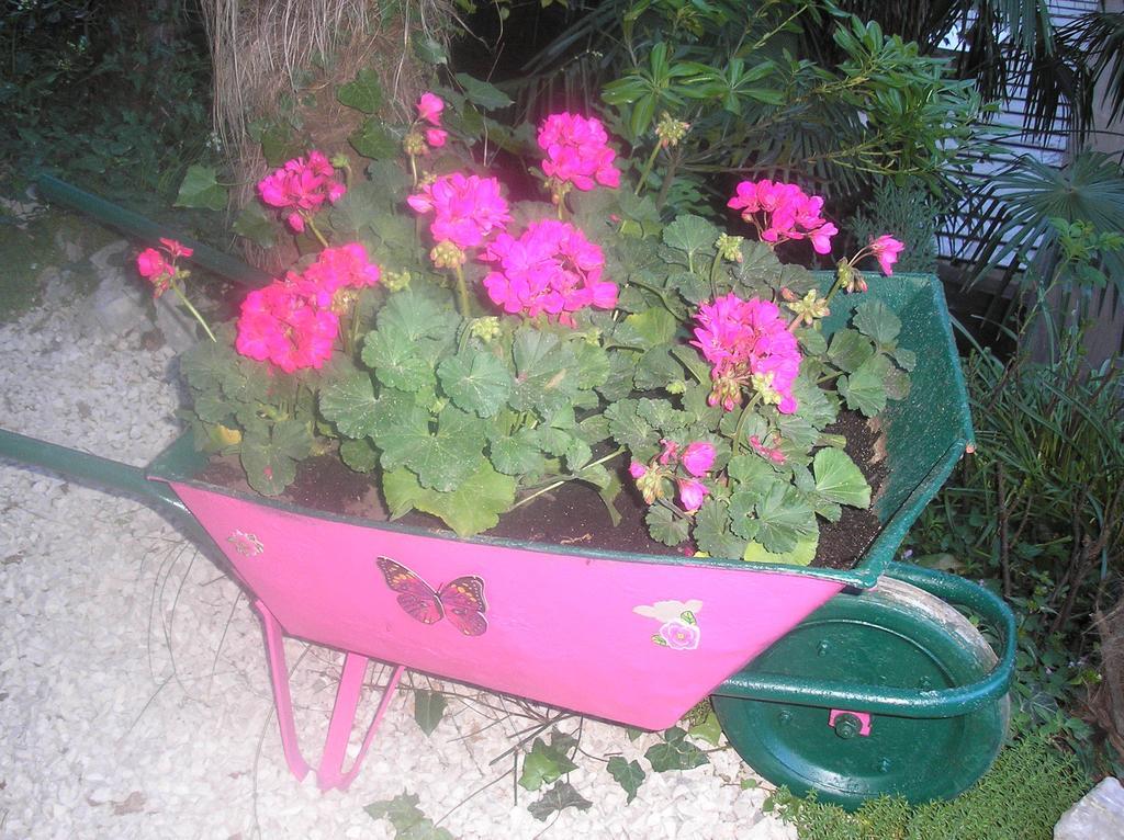 Apartment Nena With Private Free Parking Abbazia Esterno foto